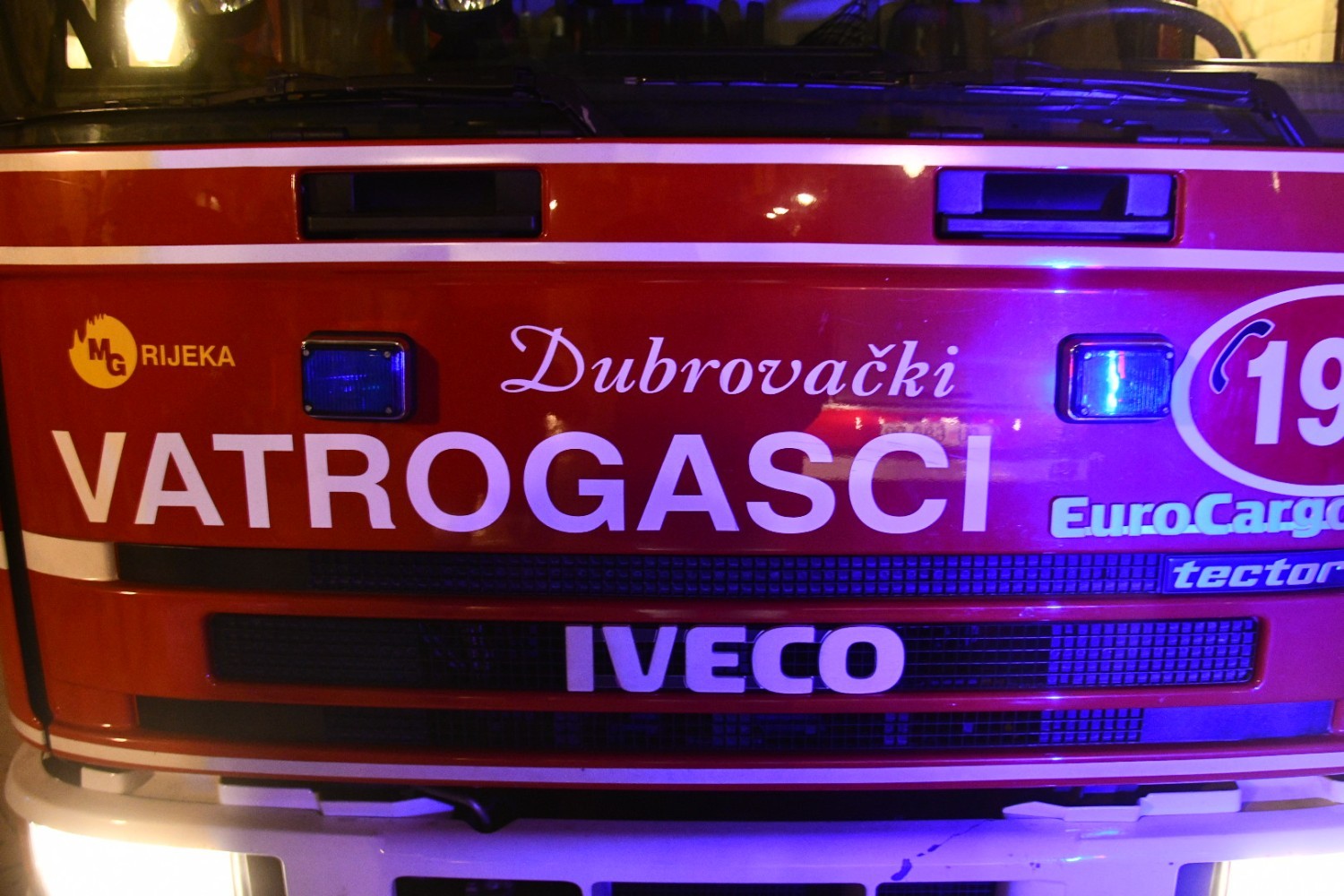 Udar groma izazvao šumski požar na Malašnici